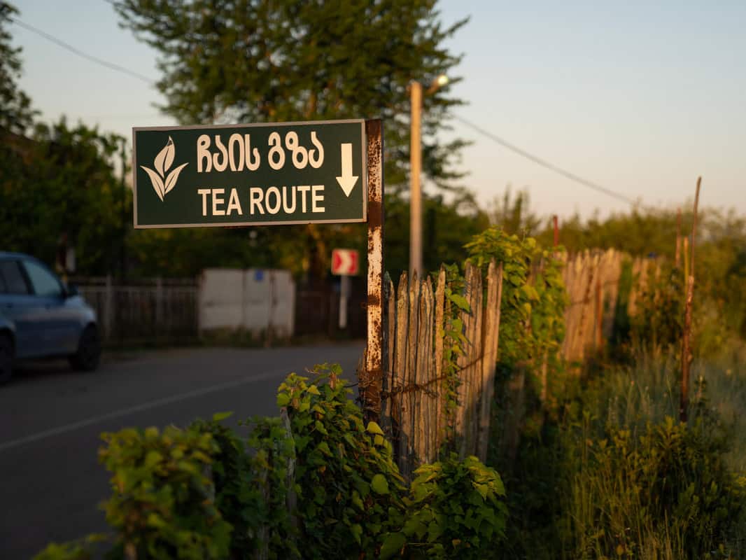 Tea Route