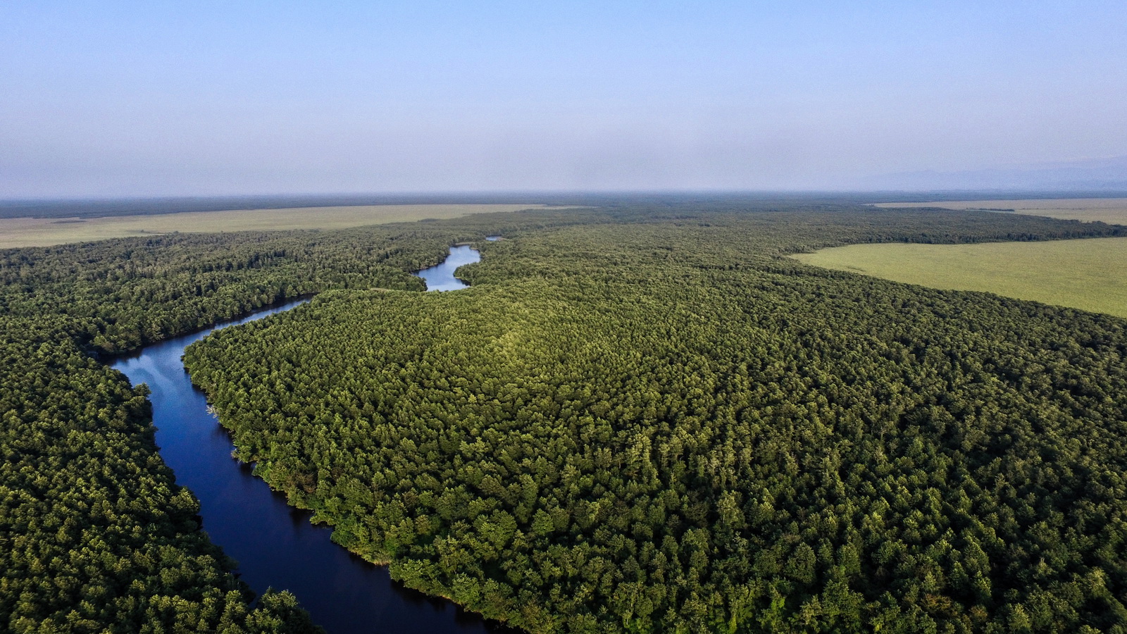 Kolkheti National Park