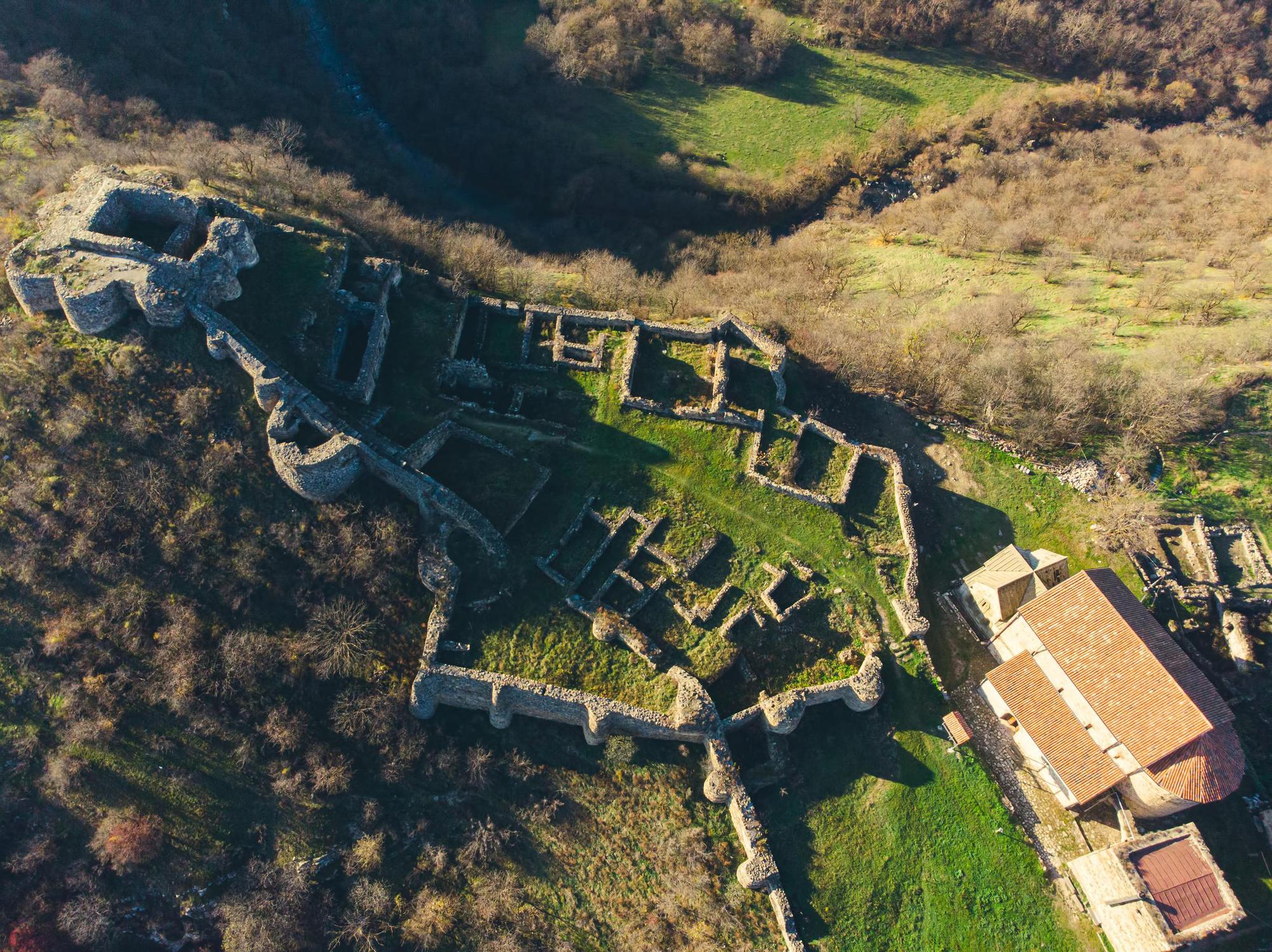 Dmanisi