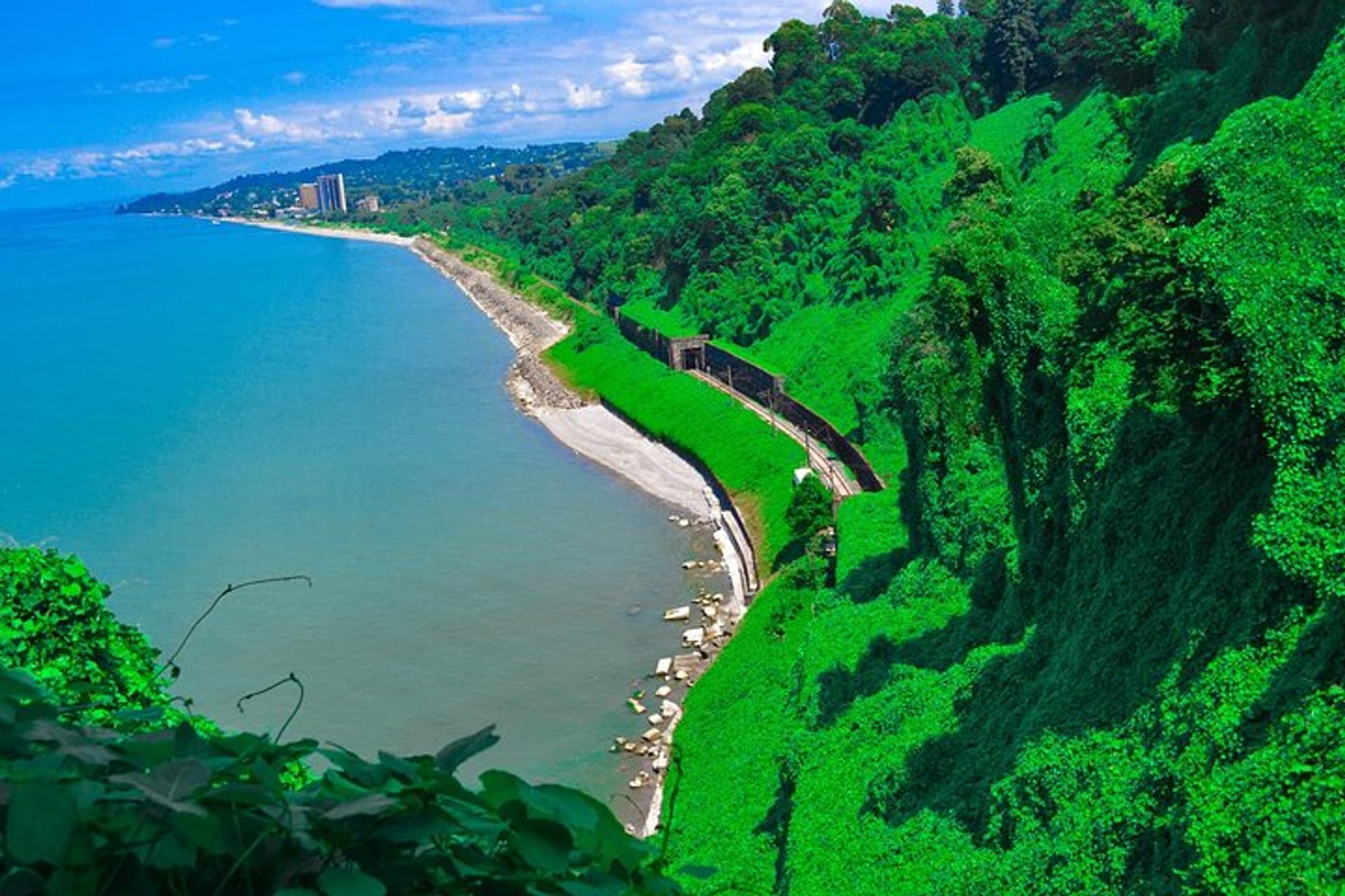 Batumi Botanical Garden