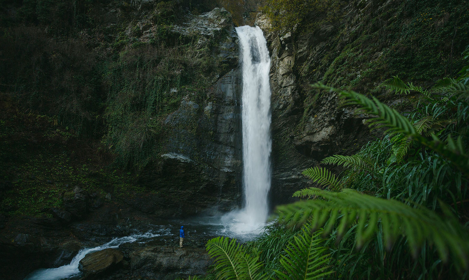 Lagodekhi Protected Areas